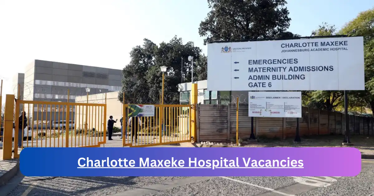 x1 Charlotte Maxeke Hospital Vacancies 2025 opening Fresh Job Opportunities