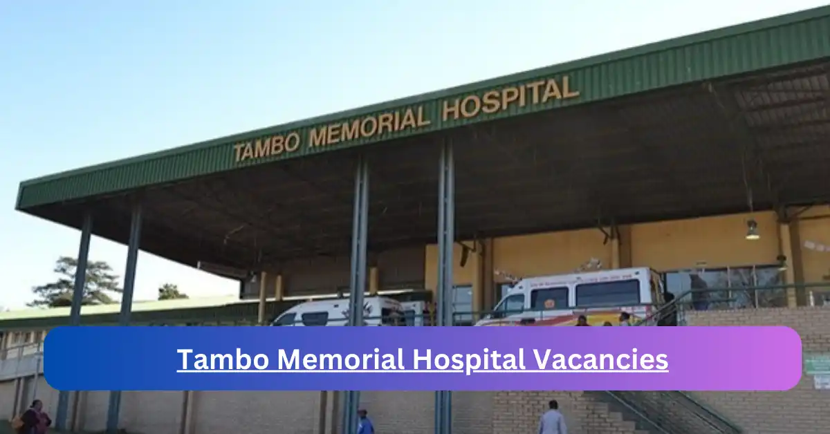 x1 Tambo Memorial Hospital Vacancies 2025 opening Fresh Job Opportunities